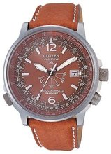 Citizen AS2031-14W