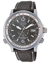 Citizen AS2031-14E